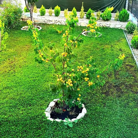 Apartment La Harmony Jacuzzi With Garden *