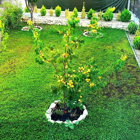 Apartment La Harmony Jacuzzi With Garden *